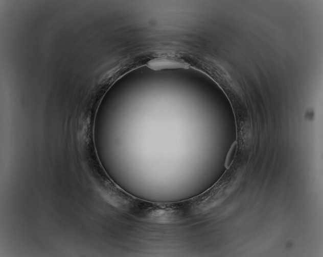 X0000100870364200806201246