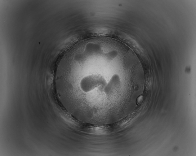 X0000100870365200806201246