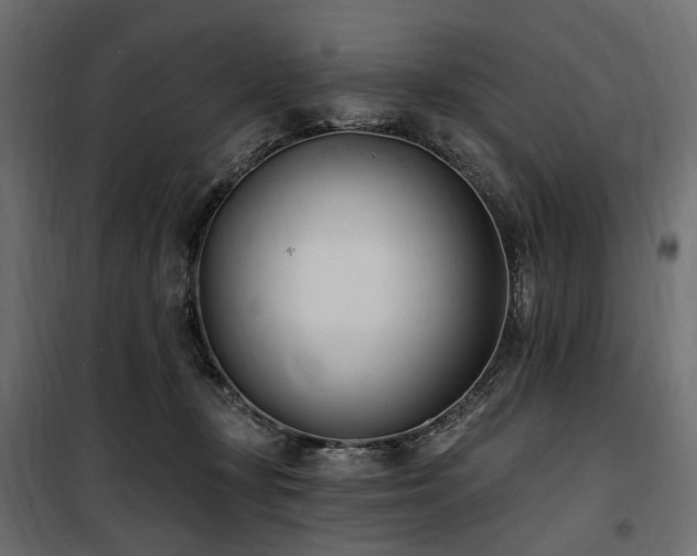X0000100870367200806201246