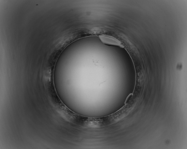 X0000100870368200806201246