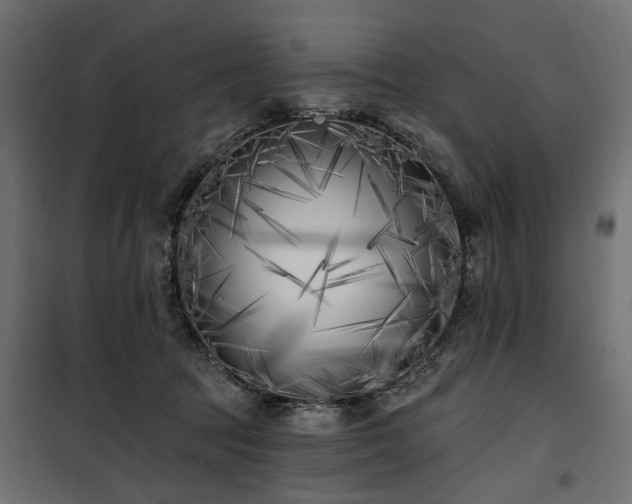 X0000100870369200806201246