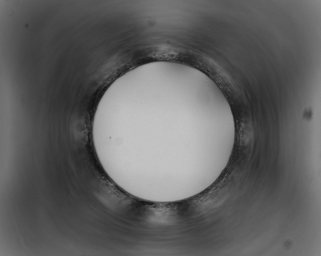 X0000100870370200806201246
