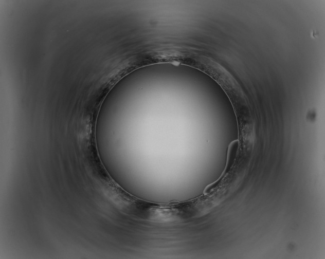 X0000100870372200806201246