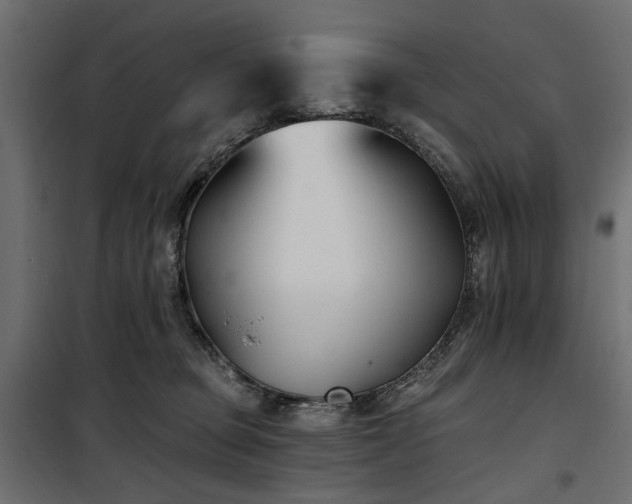 X0000100870373200806201246