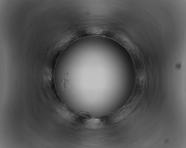 X0000100870374200806201246