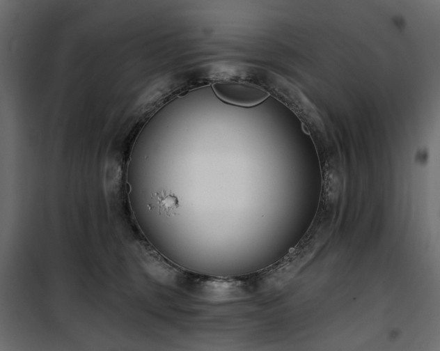 X0000100870375200806201246