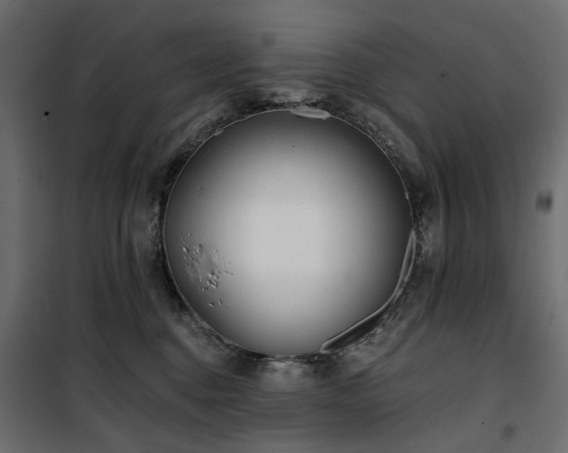 X0000100870376200806201247