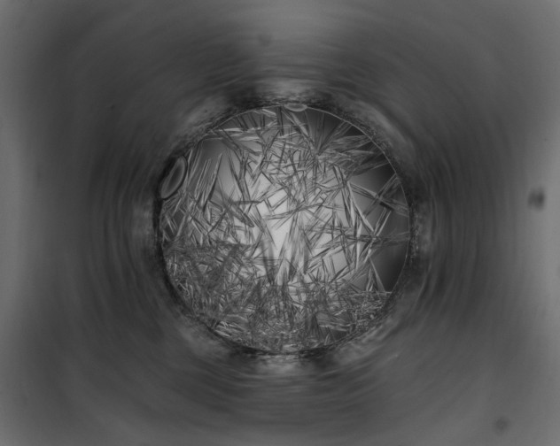 X0000100870377200806201247