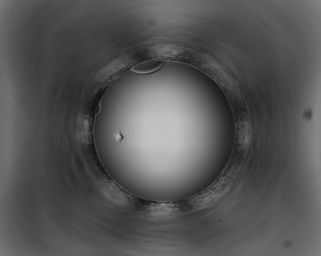 X0000100870378200806201247