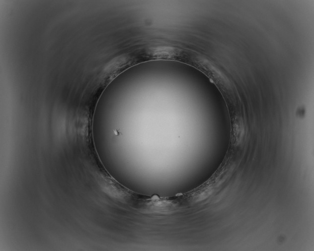X0000100870379200806201247