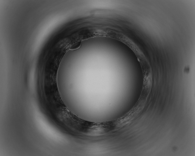 X0000100870381200806201247