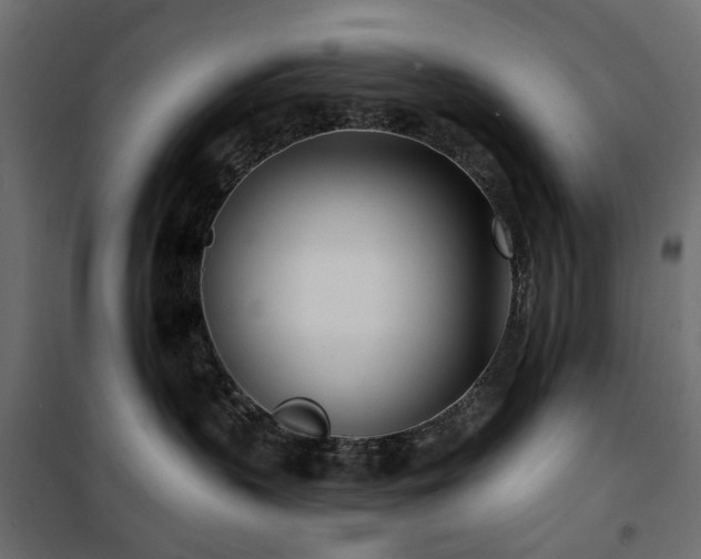 X0000100870383200806201247