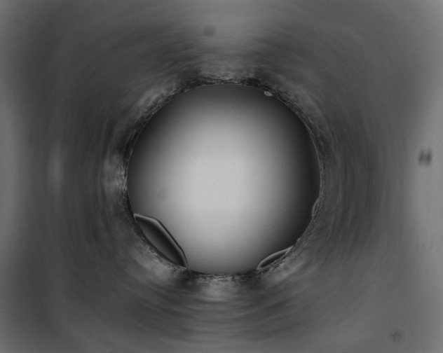X0000100870384200806201247
