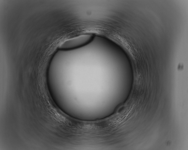 X0000100870385200806201246