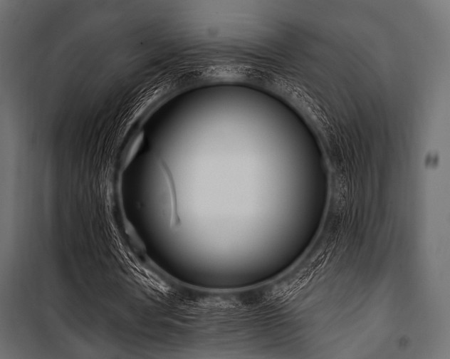 X0000100870386200806201246