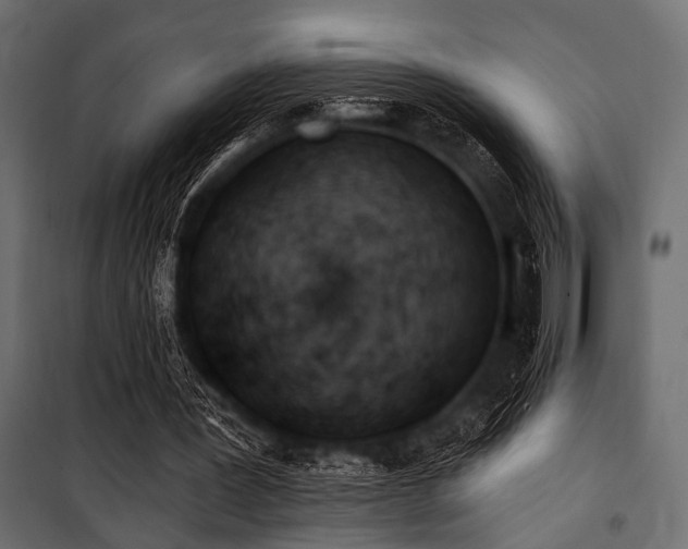 X0000100870387200806201246