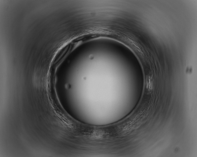 X0000100870388200806201246