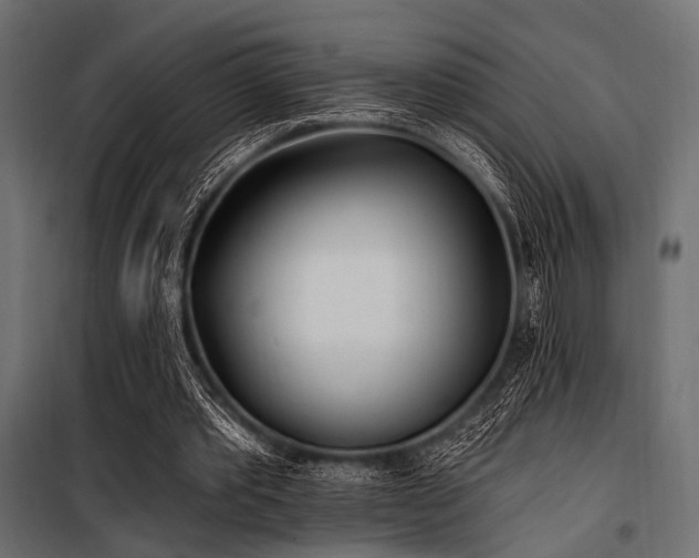 X0000100870389200806201246