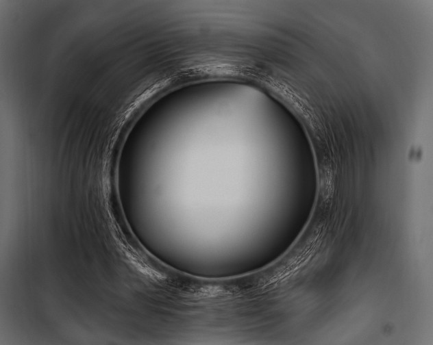X0000100870390200806201246