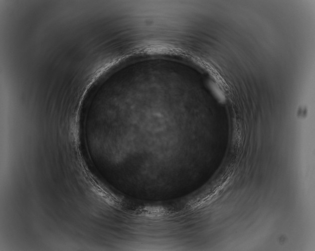 X0000100870391200806201246