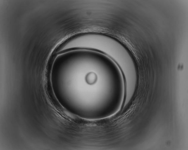 X0000100870392200806201246