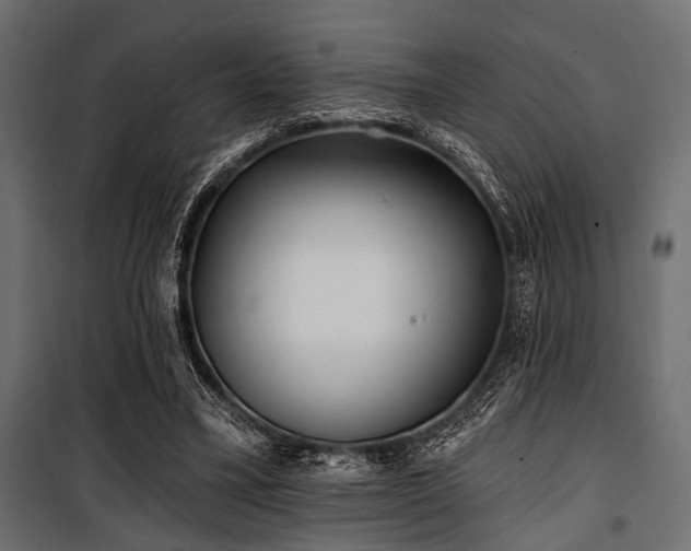 X0000100870395200806201246