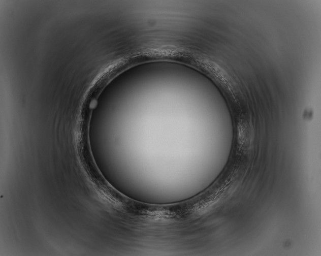 X0000100870396200806201246