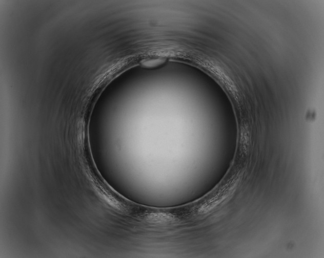 X0000100870397200806201246
