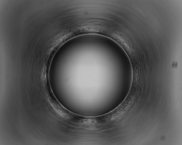 X0000100870398200806201246