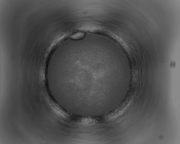 X0000100870399200806201246
