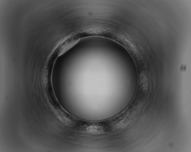 X0000100870400200806201246