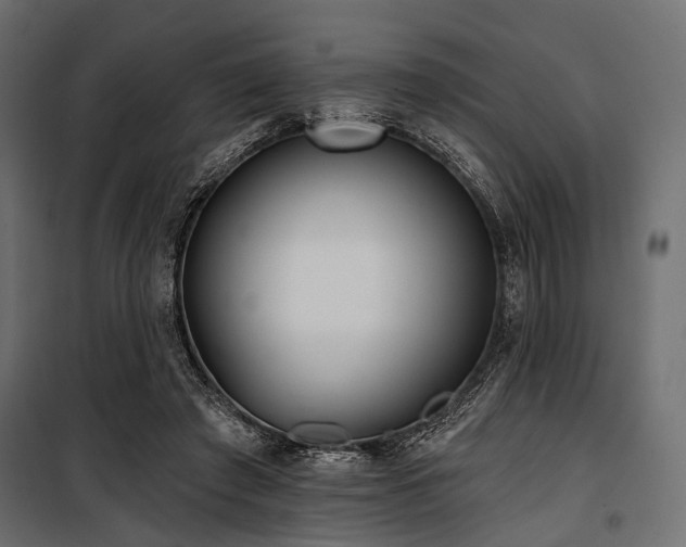 X0000100870401200806201246
