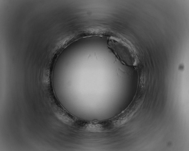 X0000100870403200806201246