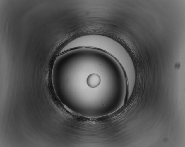 X0000100870404200806201246
