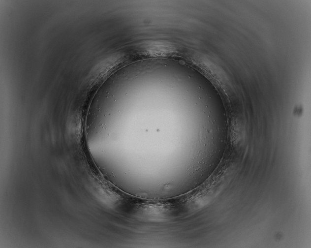 X0000100870405200806201246