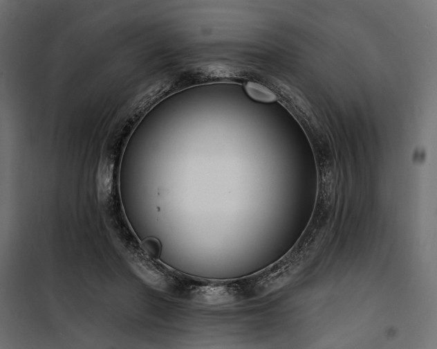 X0000100870406200806201246