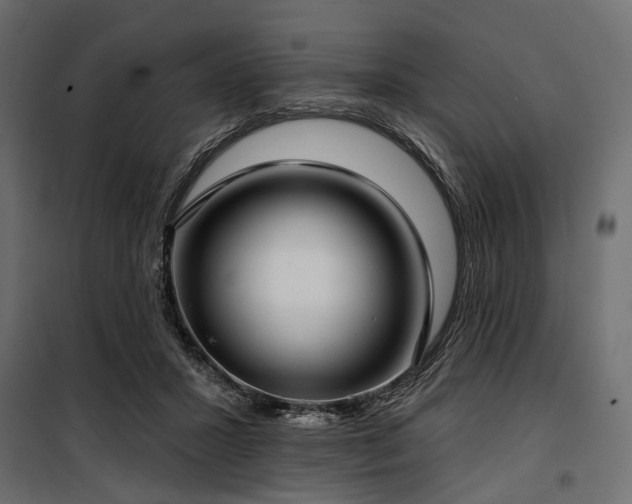 X0000100870407200806201246