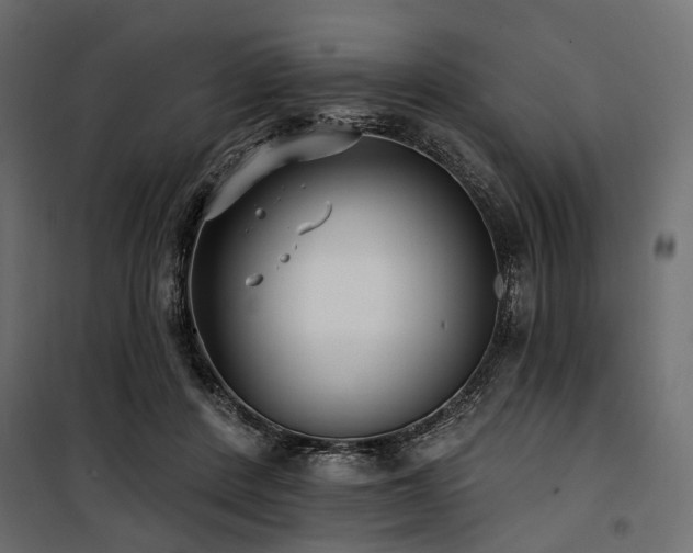 X0000100870408200806201246