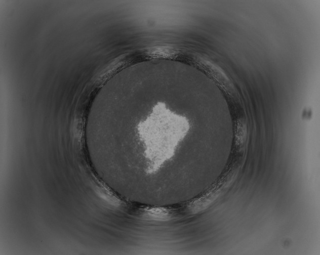 X0000100870409200806201246