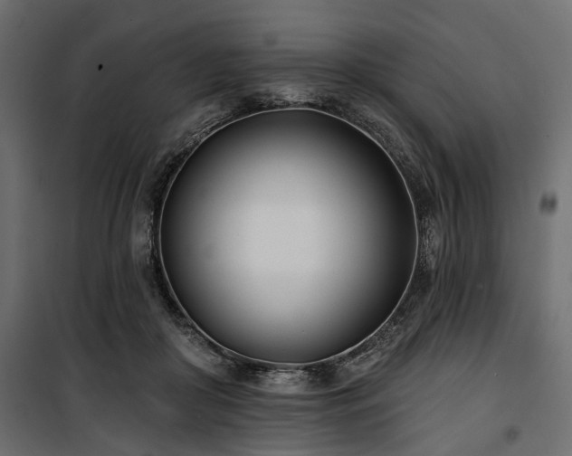 X0000100870410200806201246