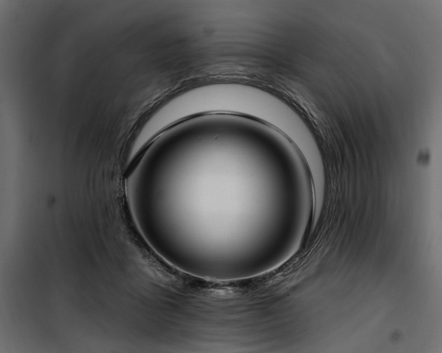X0000100870411200806201246