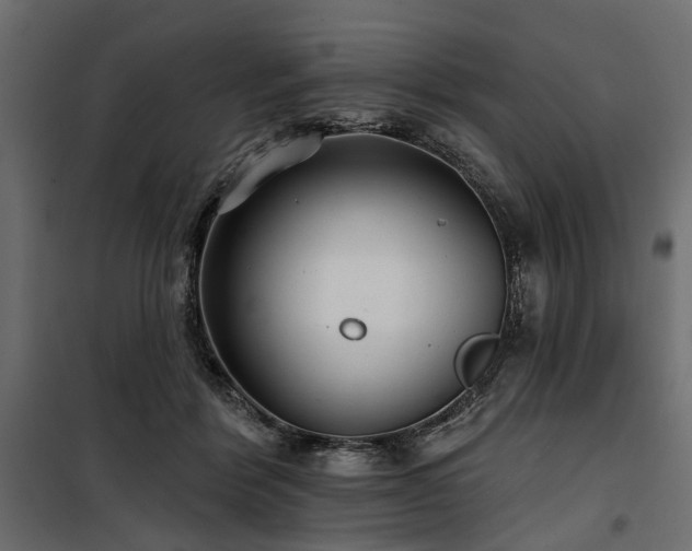X0000100870412200806201246