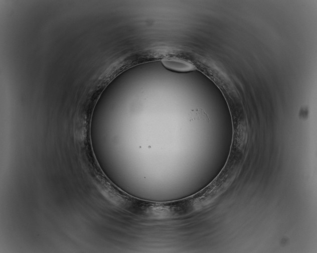 X0000100870413200806201246