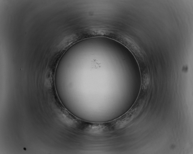 X0000100870414200806201246