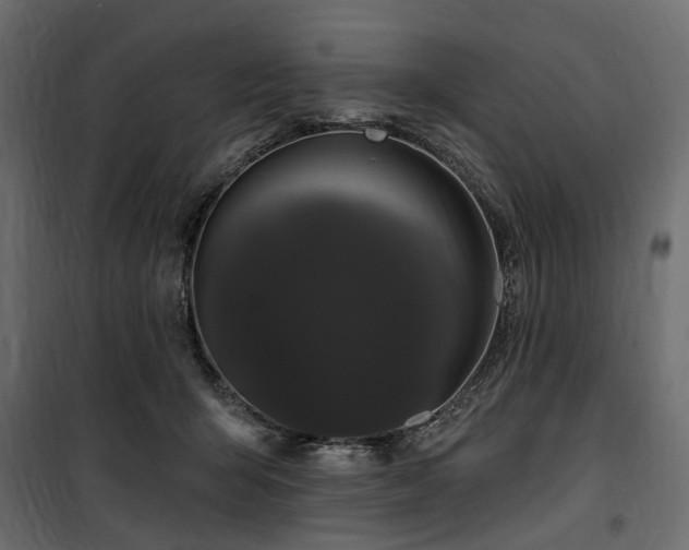 X0000100870415200806201246