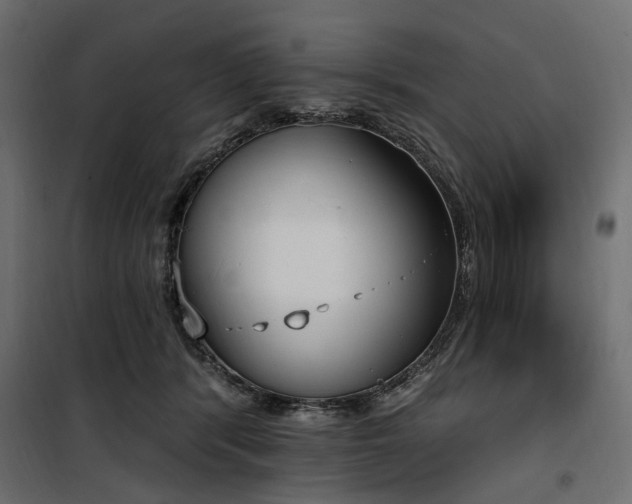 X0000100870416200806201246