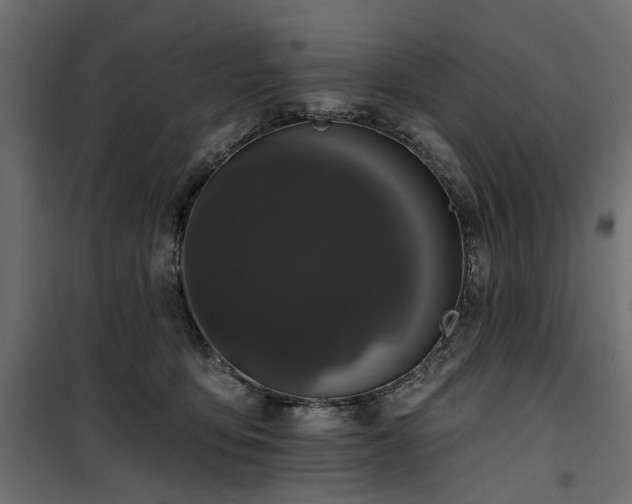 X0000100870419200806201245