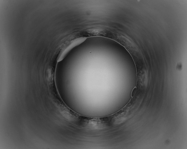 X0000100870420200806201245