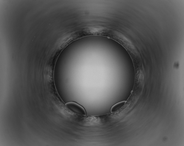 X0000100870421200806201245