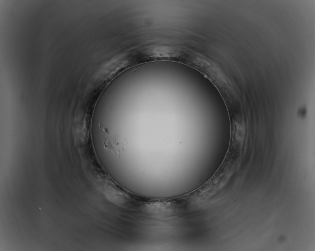 X0000100870422200806201245